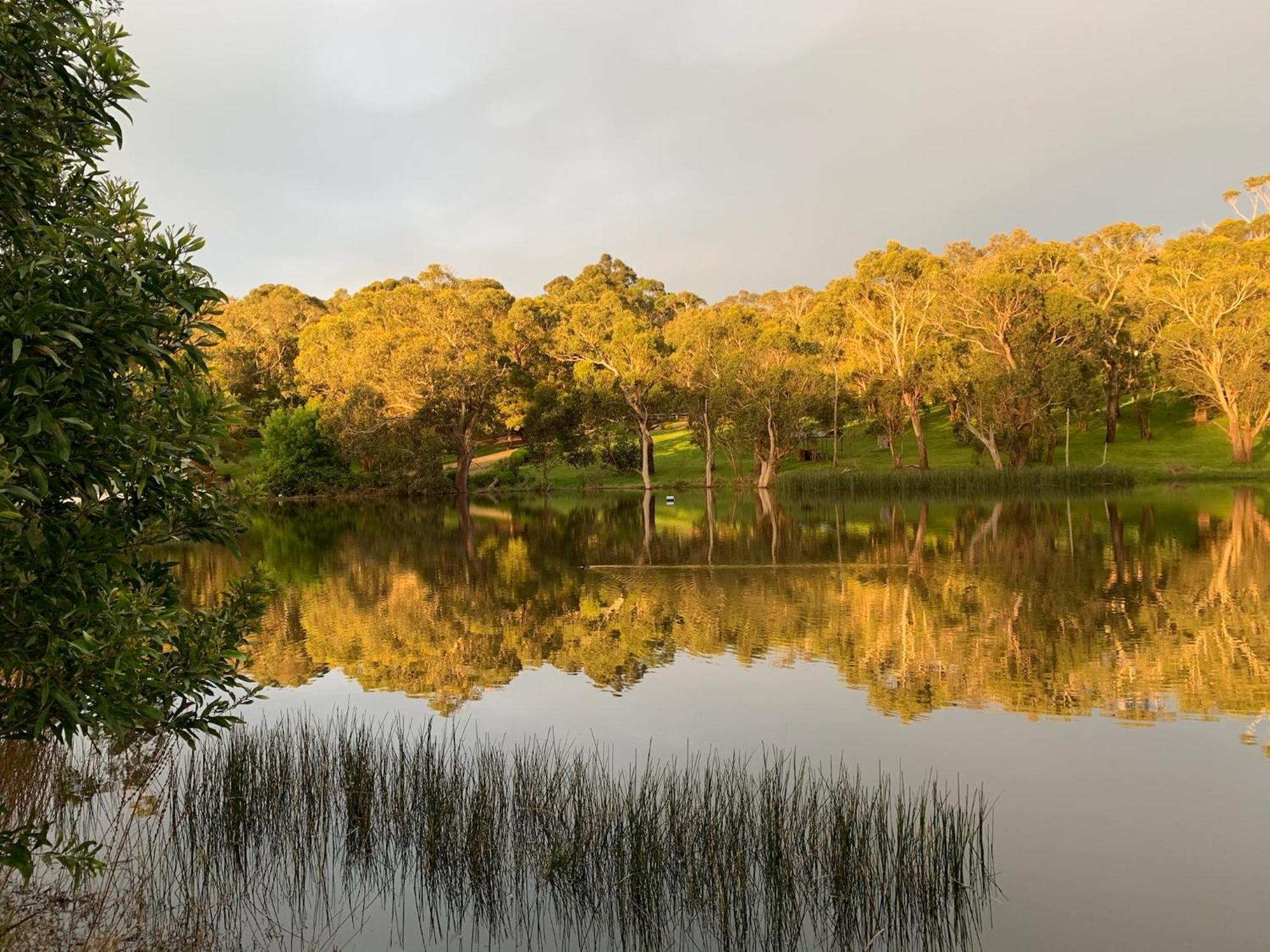 Iluka Retreat Glamping Village Red Hill South Luaran gambar