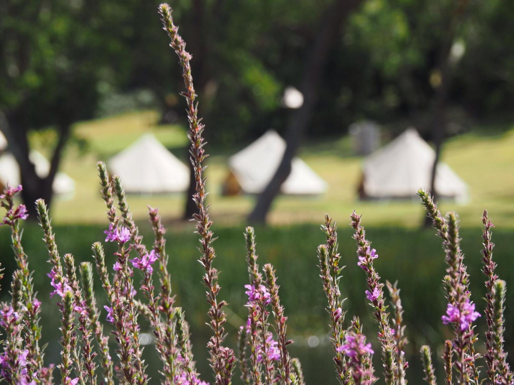 Iluka Retreat Glamping Village Red Hill South Luaran gambar