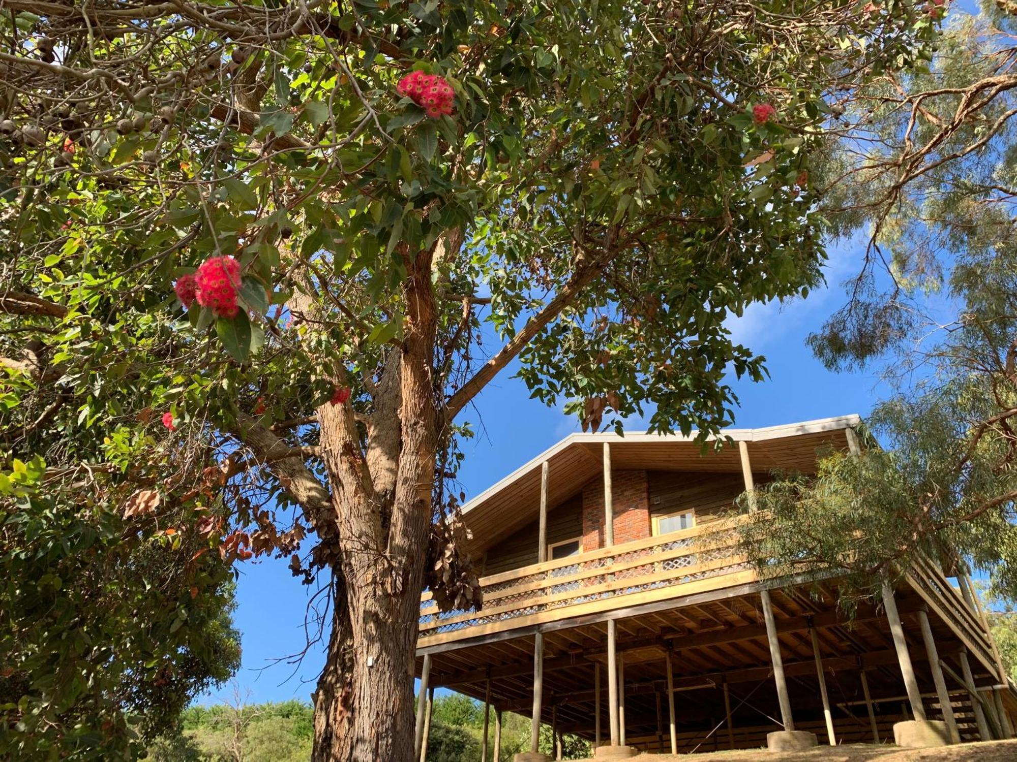 Iluka Retreat Glamping Village Red Hill South Luaran gambar